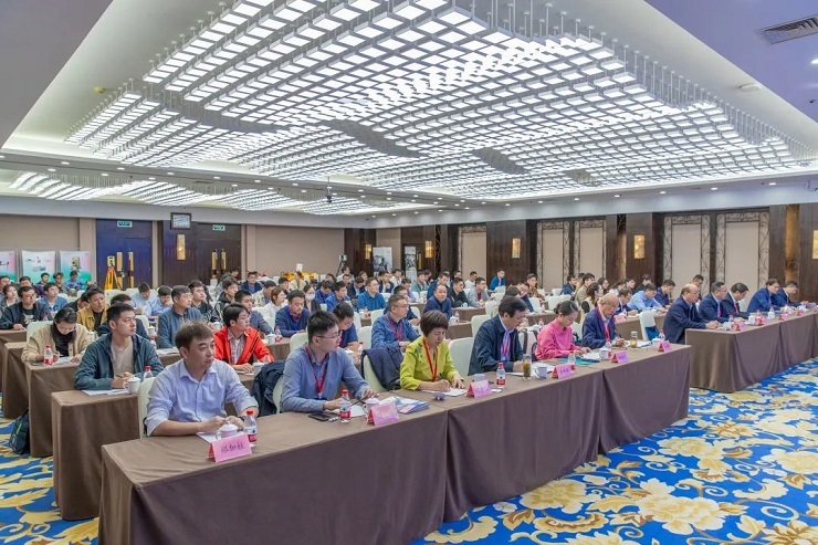 1698737199823419.jpg 640-1.jpg