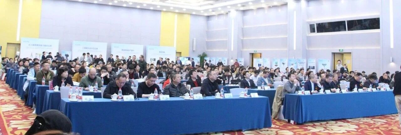 1774590201564563.jpg 111.jpg